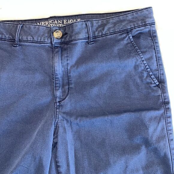 American Eagle Outfitters Blue Shorts - Picture 3 of 13